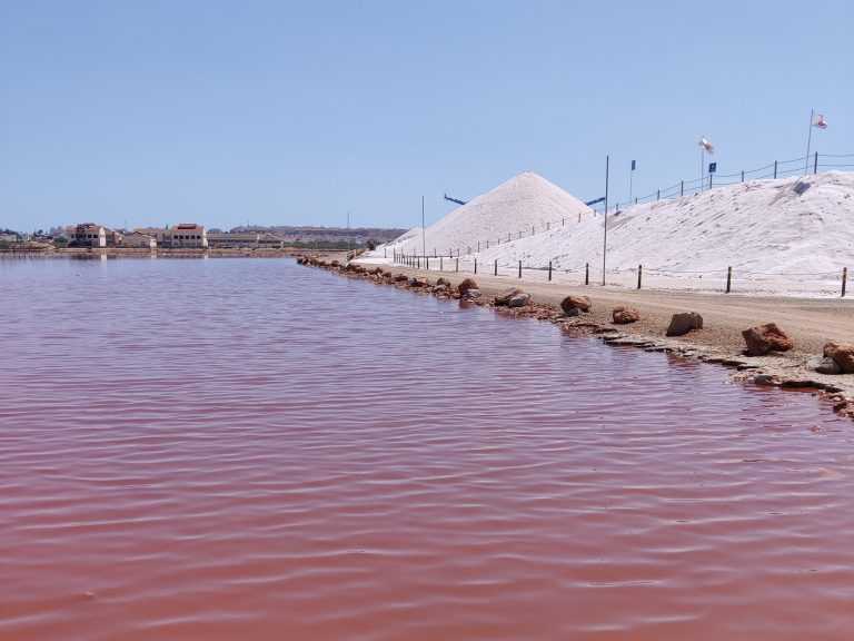 Spain's Pink-Water Lake, Las Salinas de Torrevieja - Apartment Costa Blanca
